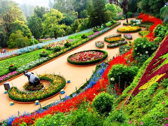 ooty tourism Botanical