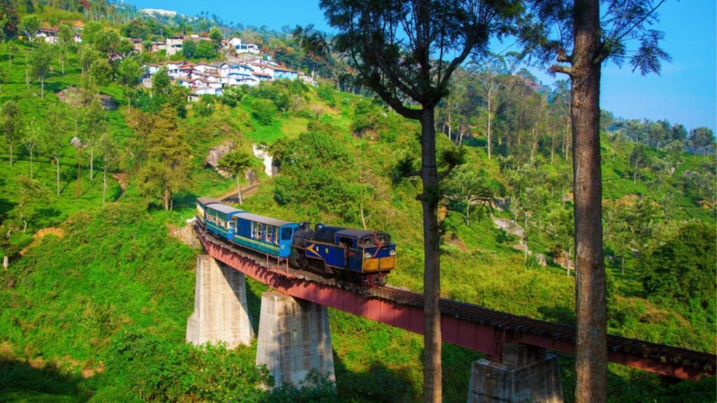 ooty tourism
