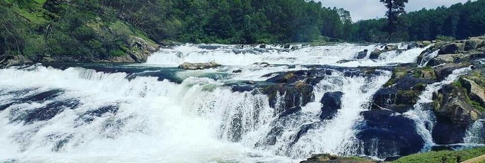 ooty tourism.tours