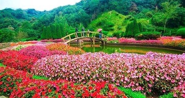 1650630118government rose garden in ooty